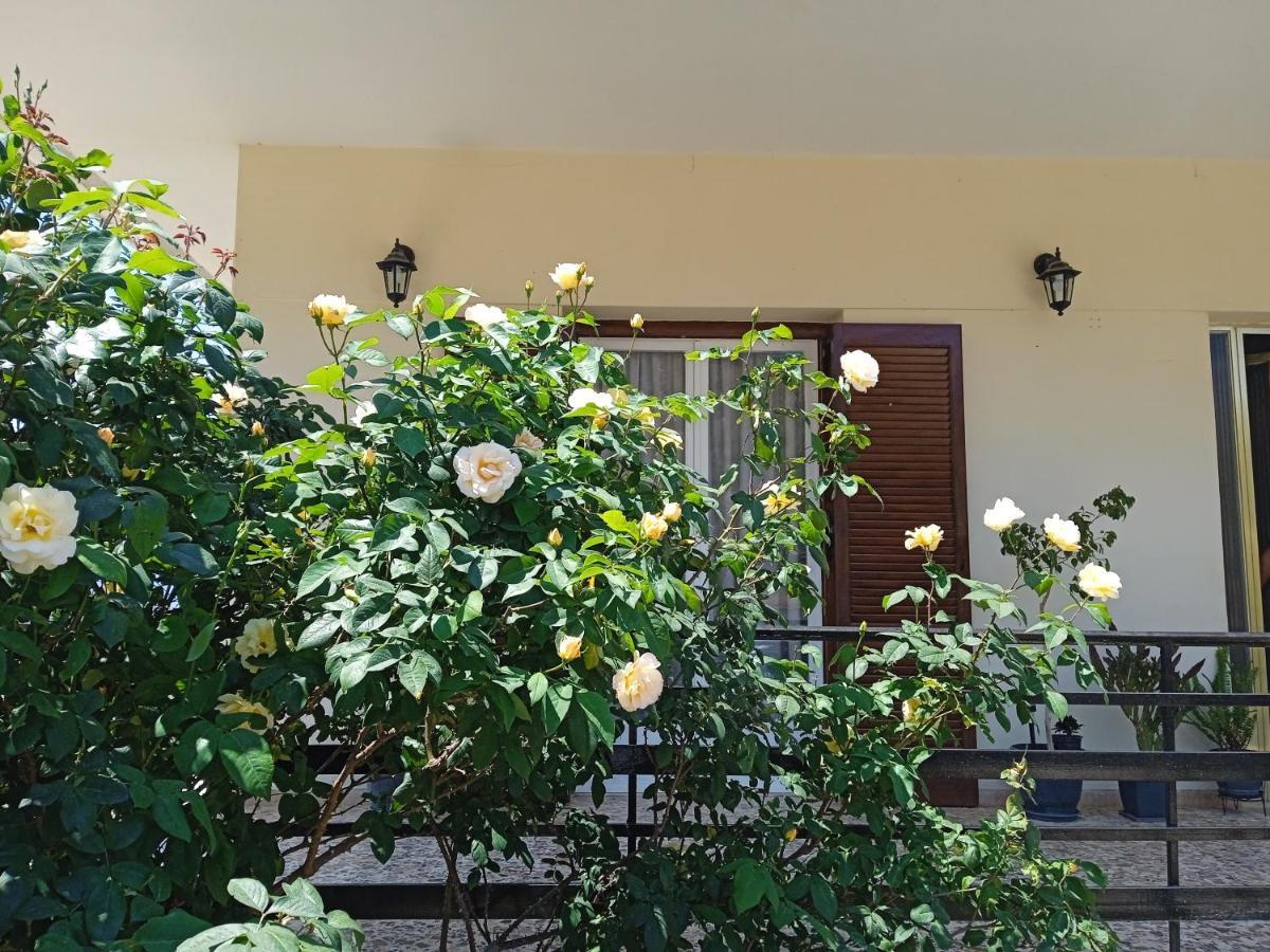 Serene Country House Nafplio Exteriér fotografie